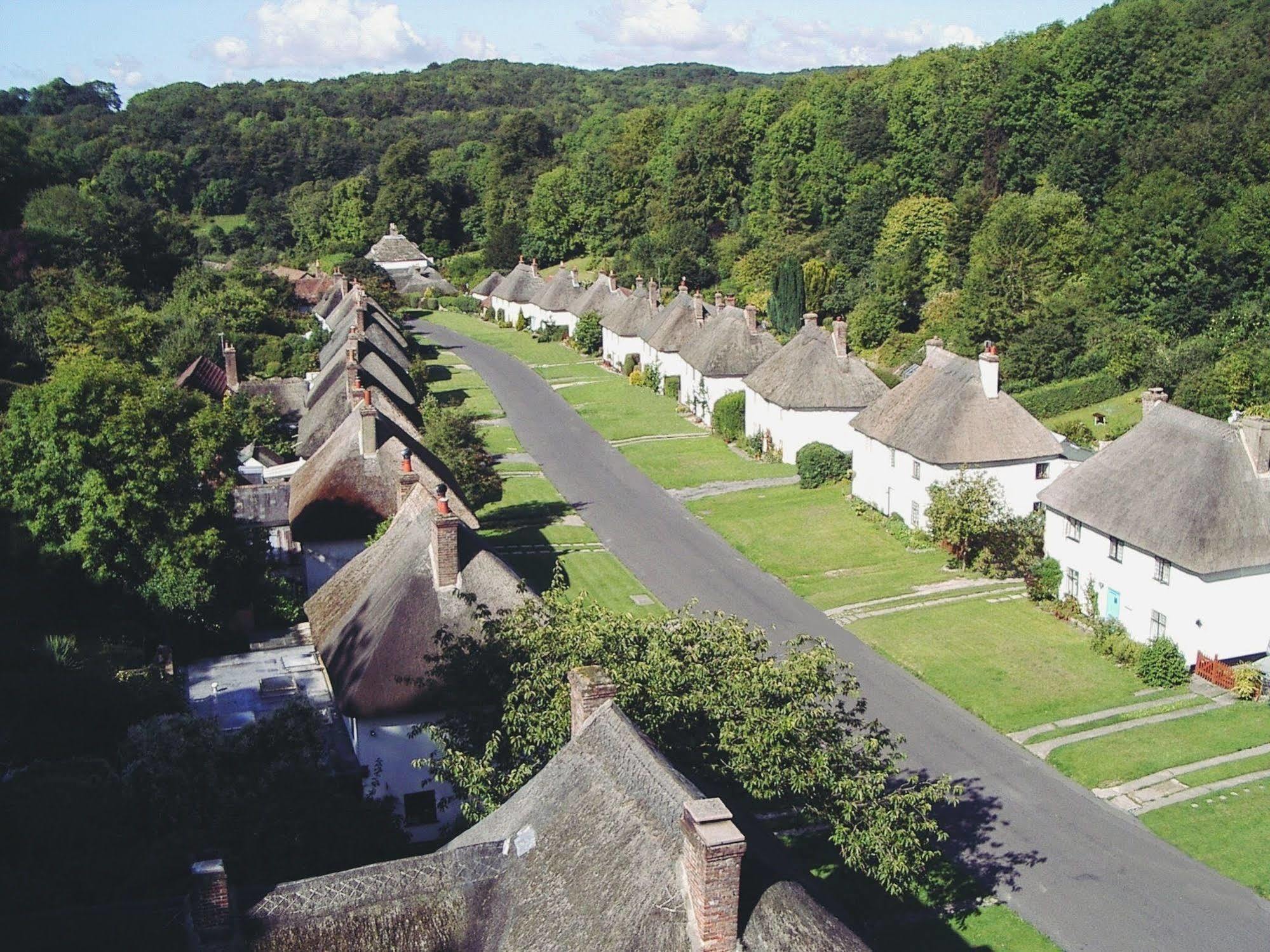 Hotel Hambro Arms Milton Abbas Exterior foto